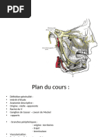 Anatomie et traumatismes du rocher | PDF | Tête et cou chez l'humain ...