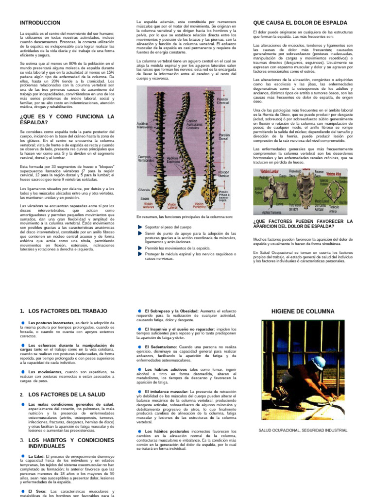 Causas y Prevención del Dolor de Espalda | PDF | La columna vertebral ...