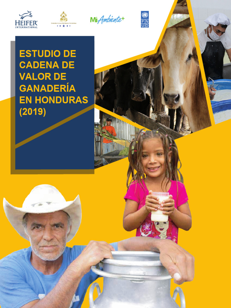 Análisis de la Ganadería en Honduras | PDF | Honduras | Vacas