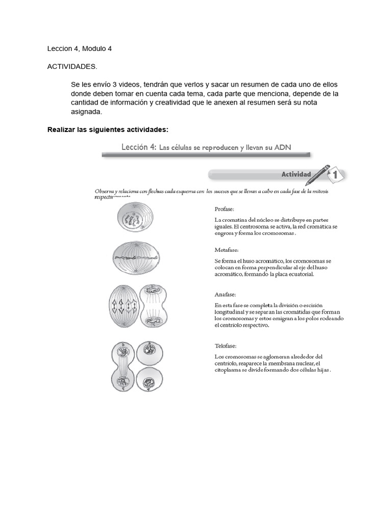 Resumen de Videos: Actividades Módulo 4 | PDF