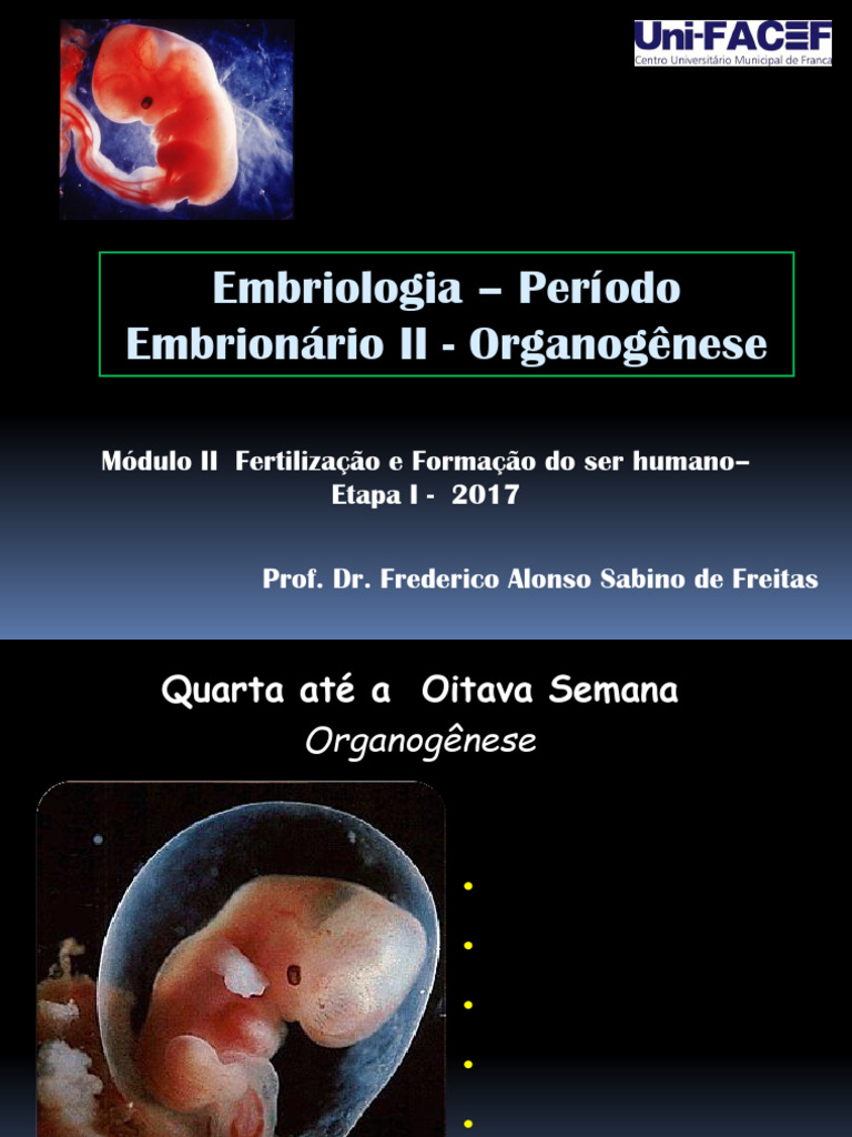 Organogênese no Período Embrionário | PDF | Placenta | Coração