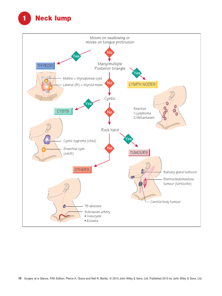 Neck Lump Diagnosis and Types | PDF | Neck | Human Anatomy