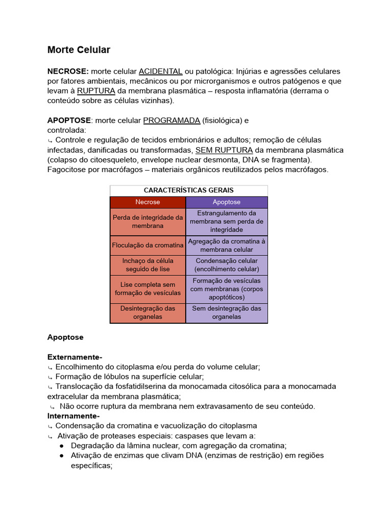 Resumo Morte Celular | PDF | Apoptose | BCL 2