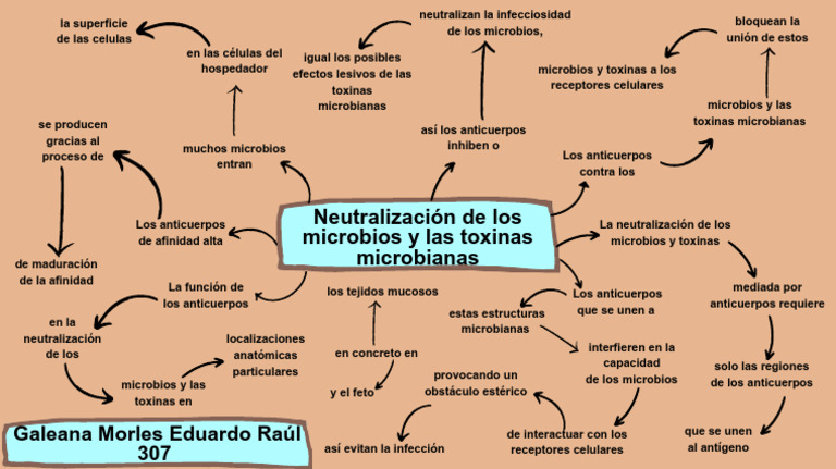 Neutralización de microbios y toxinas | PDF | Anticuerpo | Toxina