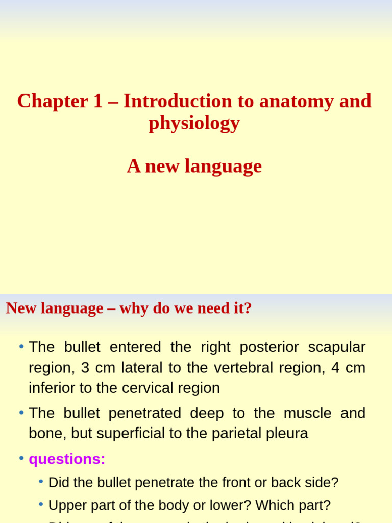 Chapter 1 and Physiology Aspects | PDF | Homeostasis | Anatomy