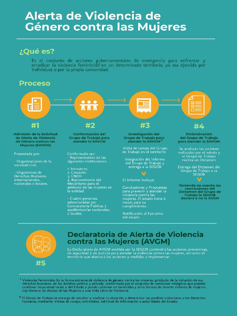 AVGM Infografia | PDF