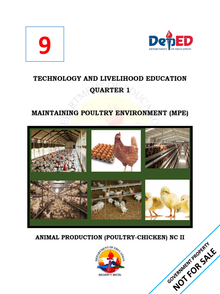 Poultry House Layout and Design Guide | PDF | Disinfectant | Poultry ...