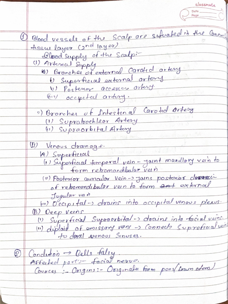 SDL Anatomy | PDF