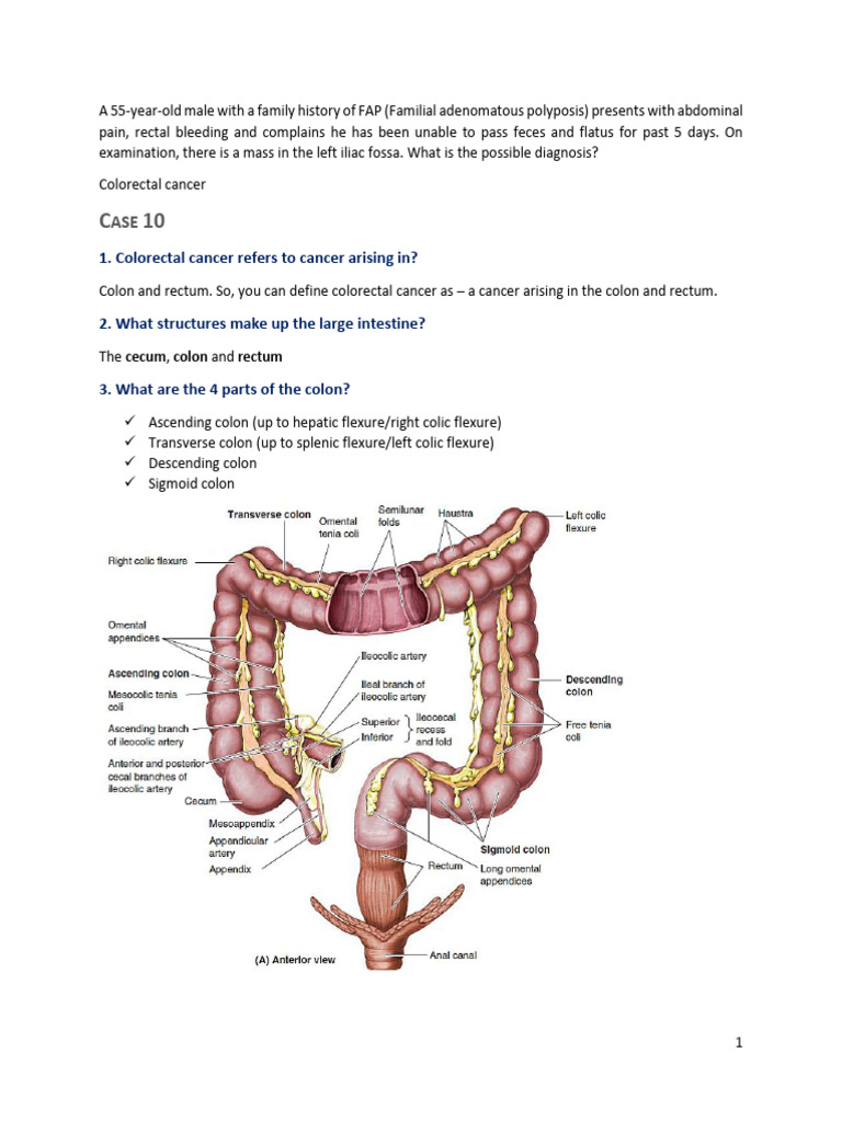 Colorectal Cancer Overview and Diagnosis | PDF | Large Intestine ...