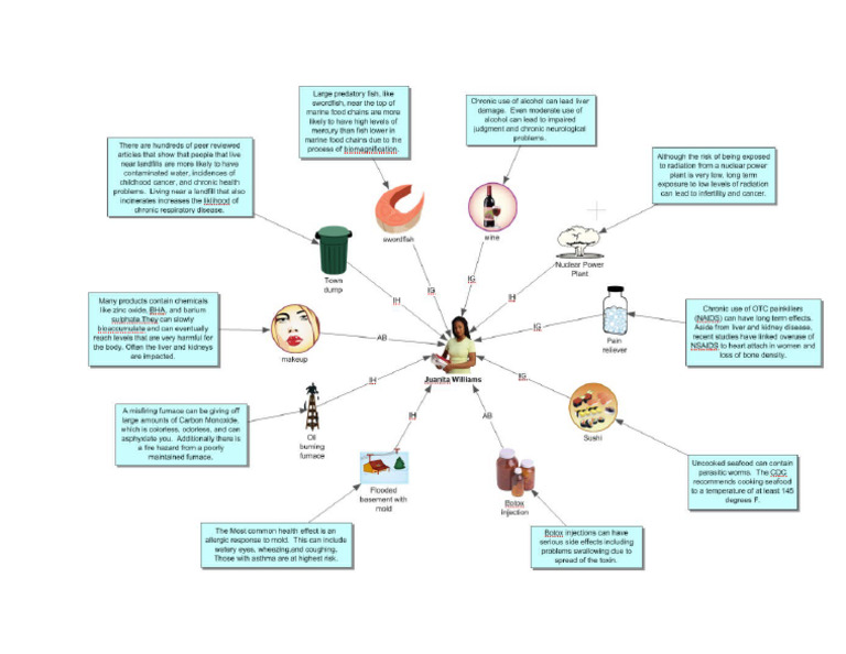 4.1.1 Environmental Exposures Sample Concept Map | PDF
