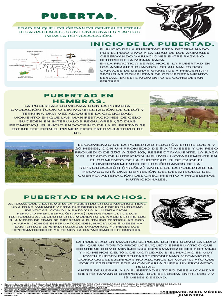 Pubertad en Animales: Aspectos Clave | PDF | Pubertad | Hembra