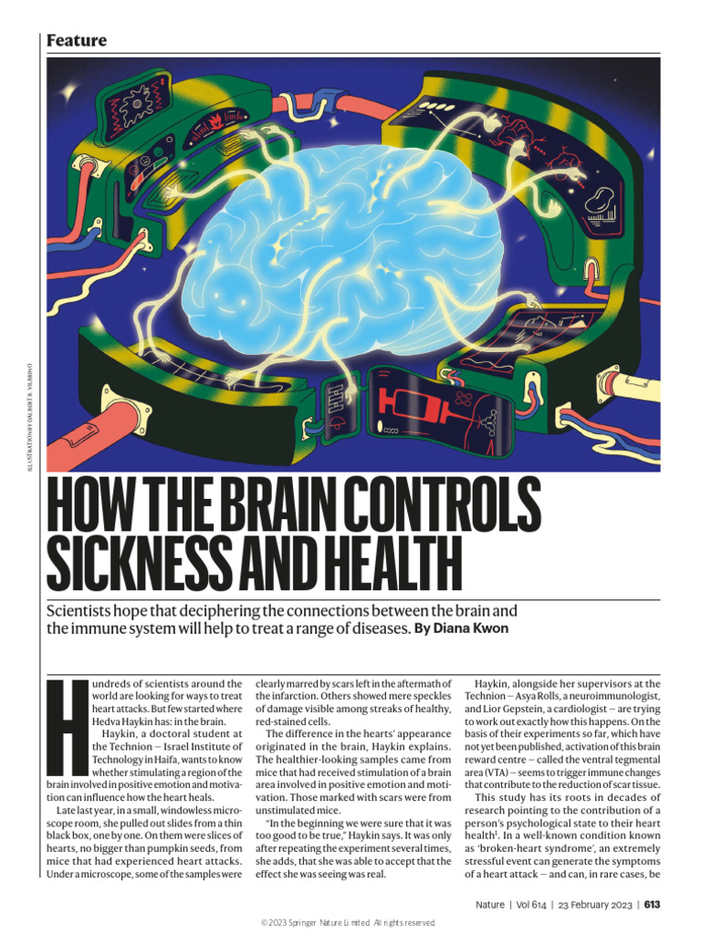How The Brain Controls Sickness and Health | PDF | Nerve | Immune System