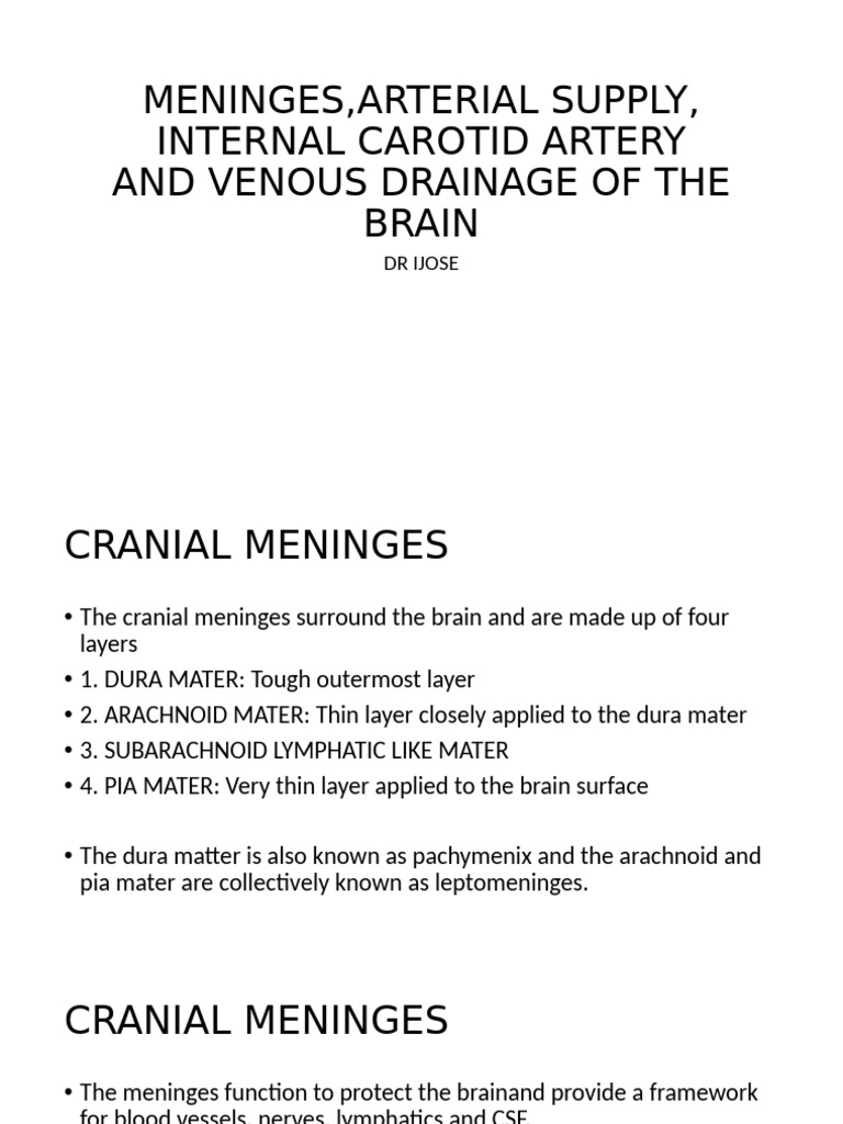Meninges and Blood Supply of the Brain | PDF | Vein | Human Head And Neck