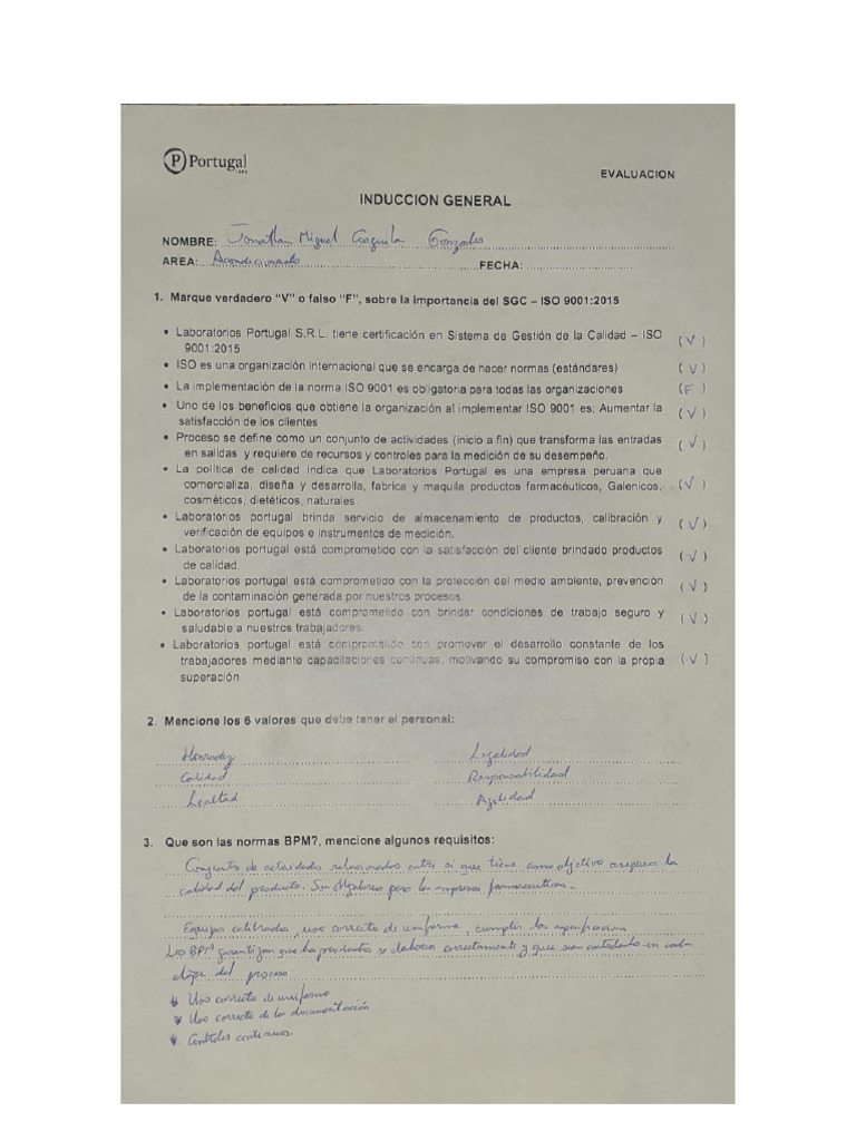 Induccion General Pdf