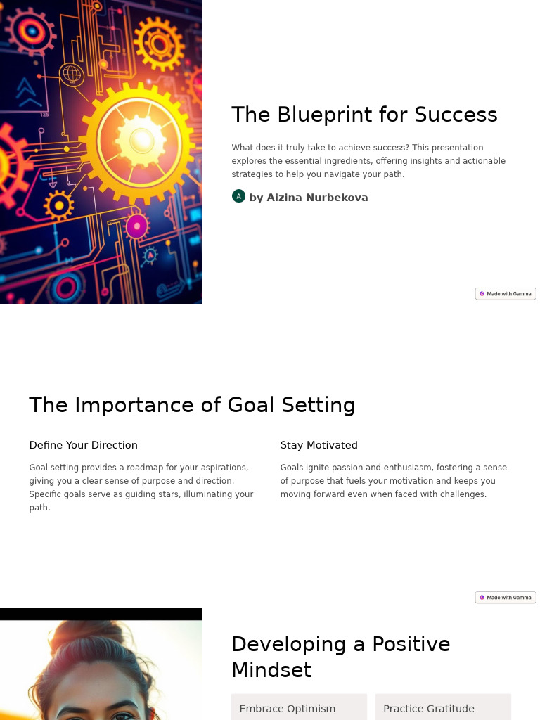 The Blueprint For Success | PDF | Disciplines | Mentorship