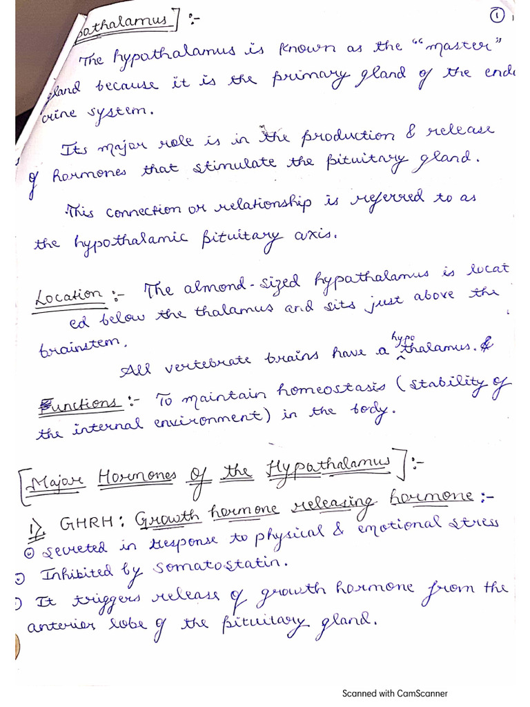 ENDOCRINE GLANDS NOTES PDF intelligence overview