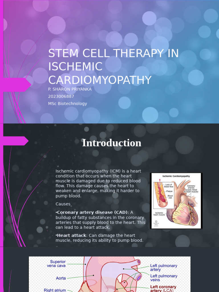 Stem Cell Therapy in Ischemic Cardiomyopathy-1 | PDF | Mesenchymal Stem ...
