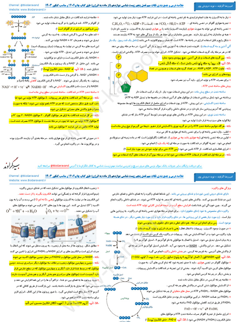 Www-Kanoon-Ir: ATP ATP | PDF