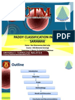 Paddy Classification in Sibu, Sarawak