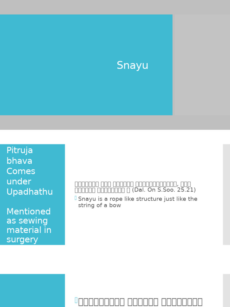 Snayu | PDF | Knee | Soft Tissue