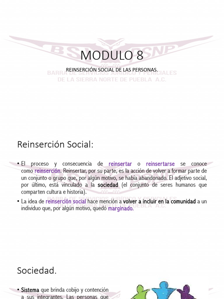Reinserción Social y Prevención de Reincidencia | PDF | Prisión ...