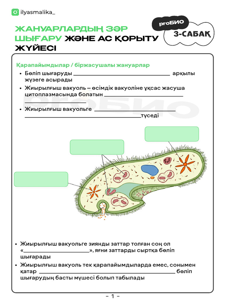 Кончают пизду және жопы видео