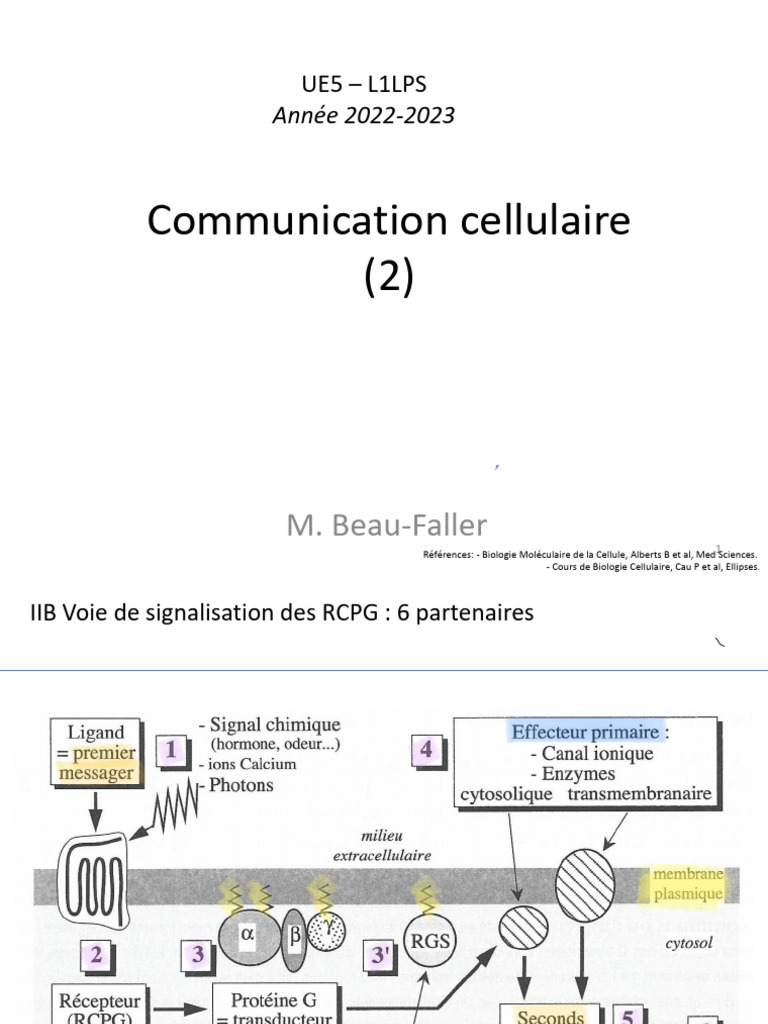 Voie de signalisation des RCPG en biologie | PDF | Signalisation ...
