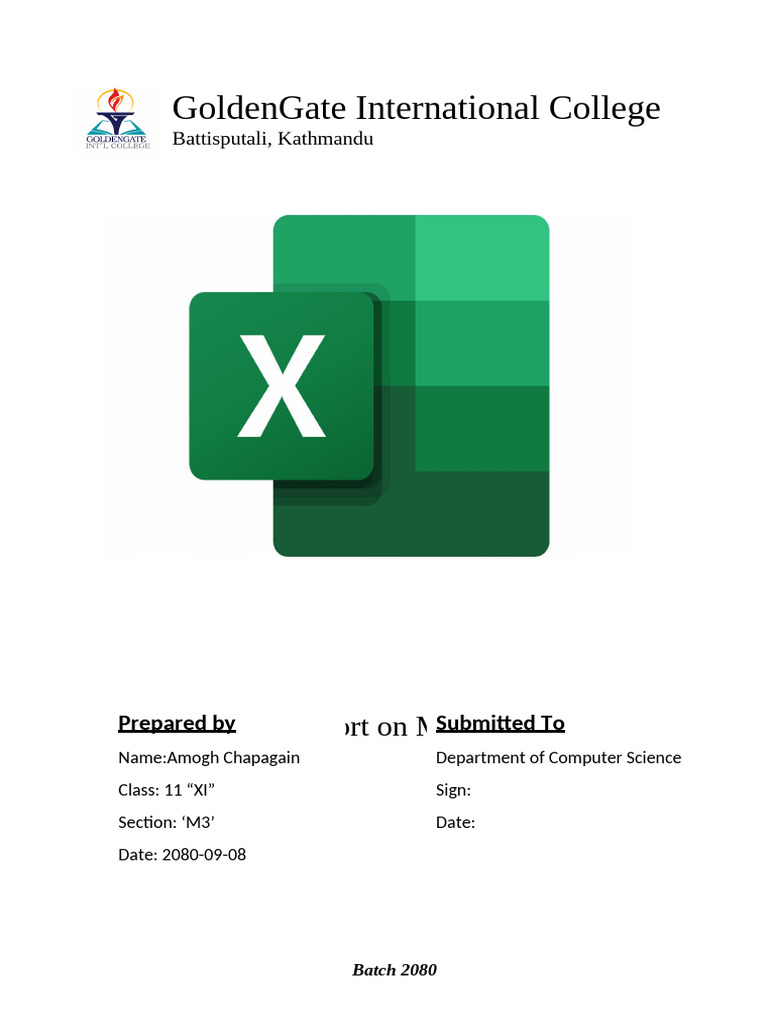 MS Excel Lab Report - Class XI | PDF