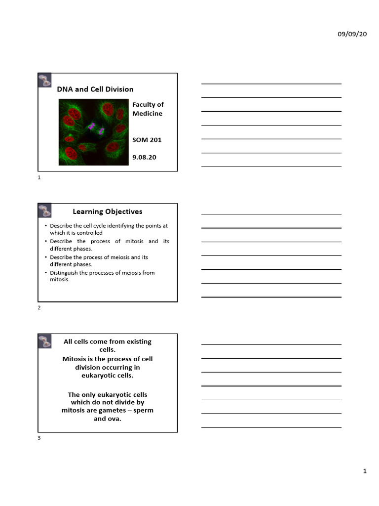 6. DNA and Cell Division 10.09.20_Student Notes | PDF | Meiosis | Mitosis