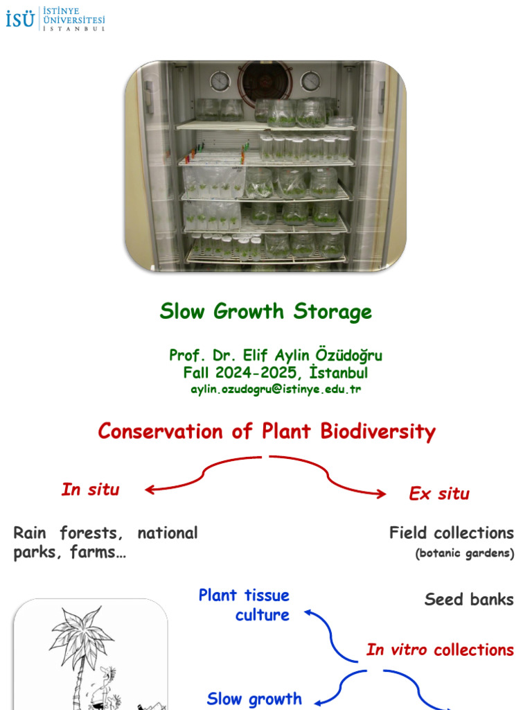 Slow Growth Storage | PDF | Cryogenics | Botany
