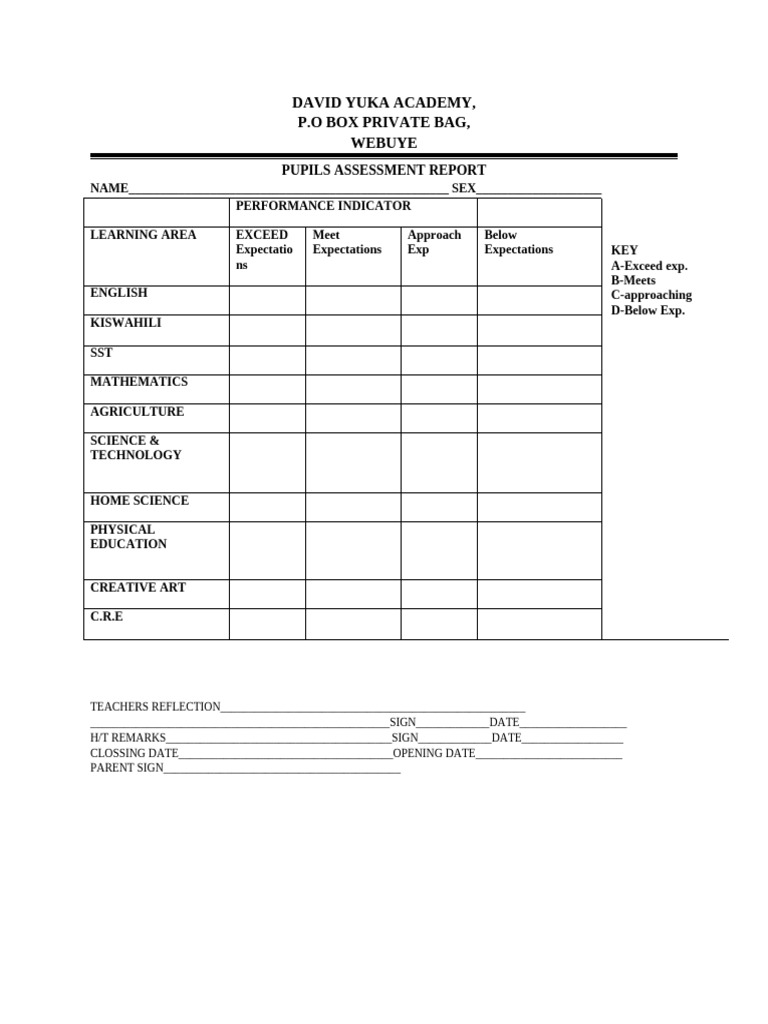 Pupils Assessment Report Template | PDF