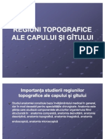 Curs 1 REGIUNI TOPOGRAFICE ALE CAPULUI ŞI GÎTULUI