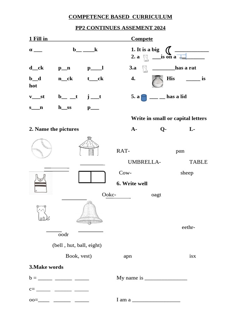 PP2 Exams Assessment 2024 Guide | PDF