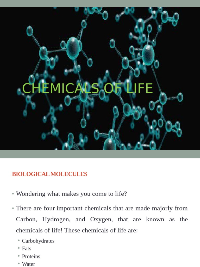 CLASSIFICATION OF BIOLOGICAL MOLECULES visual data 8