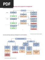 Entman Framing 1993 Fractured Paradigm | PDF