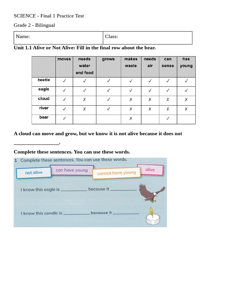 Grade 2 Science Practice Test Guide | PDF | Solubility | Plants
