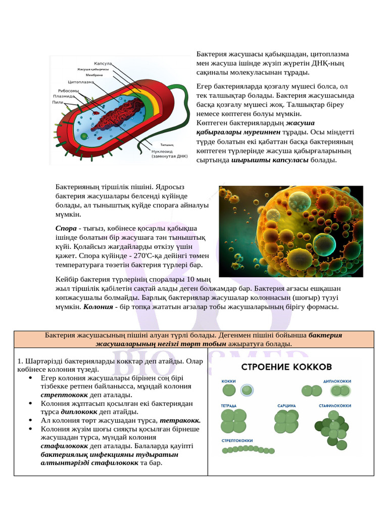 Жұмыс үстелінің ең сексуалды тұсқағаздары
