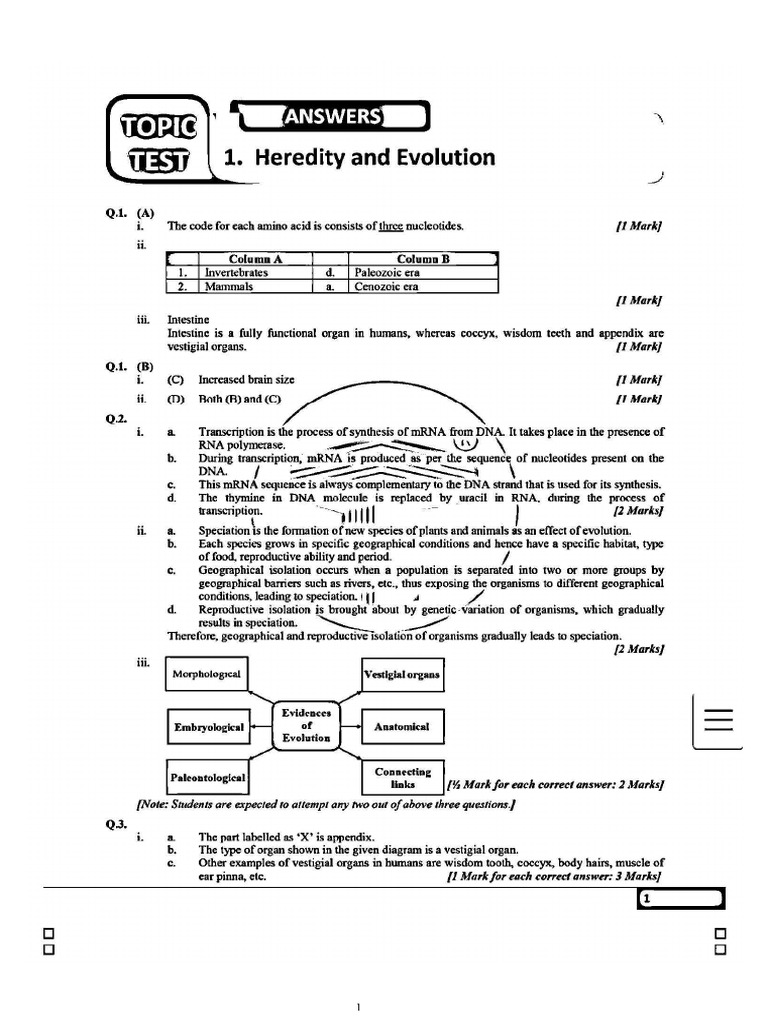 Answers of Science 1 | PDF