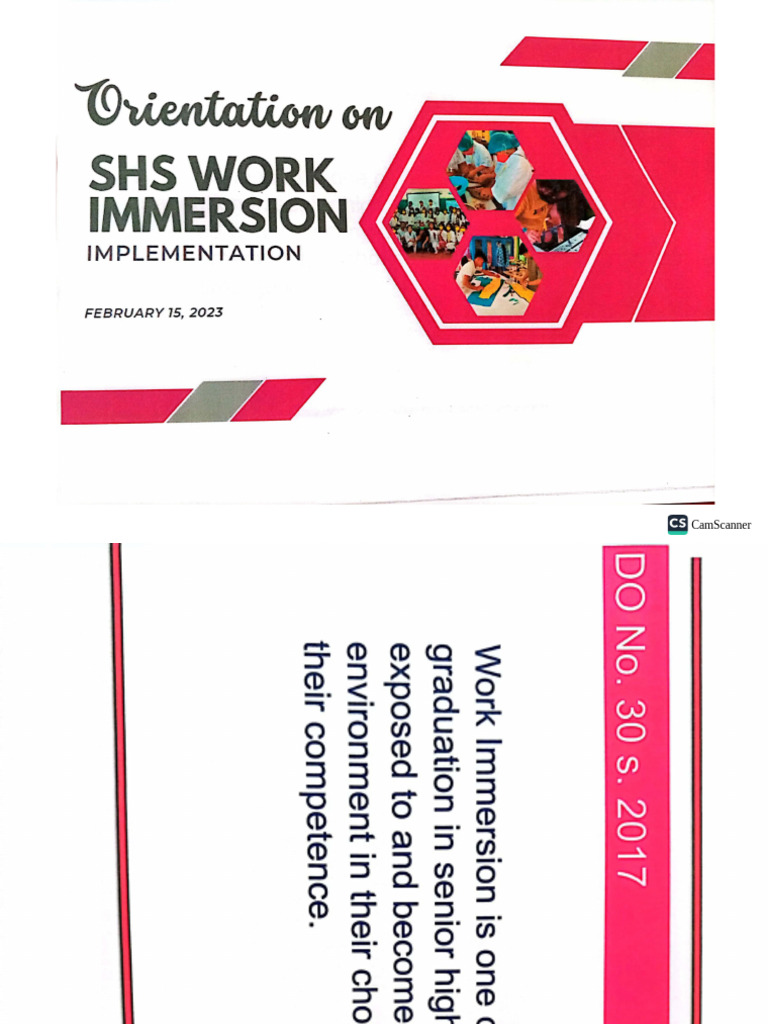 Work Immersion | PDF
