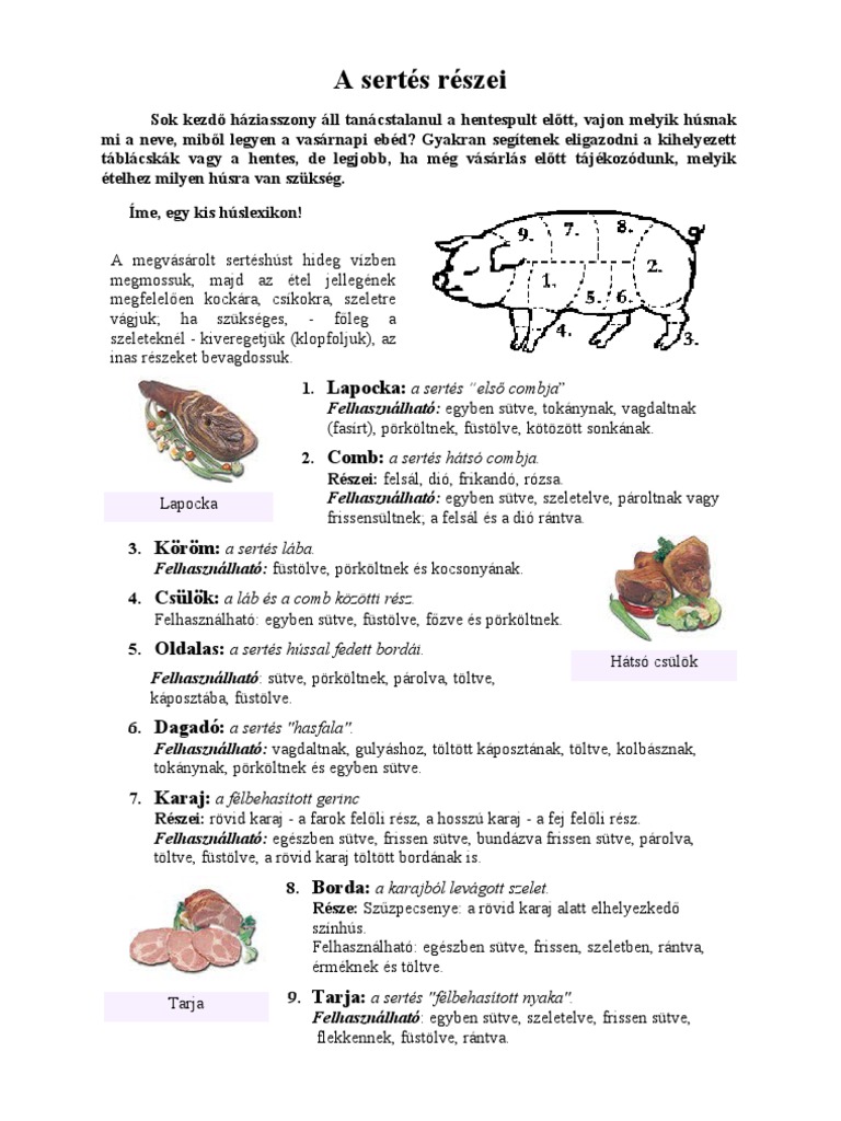A Sertes Reszei | PDF