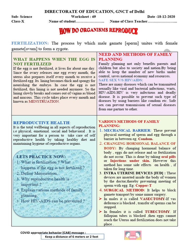 Family Planning and Reproductive Health Guide | PDF | Fertilisation ...