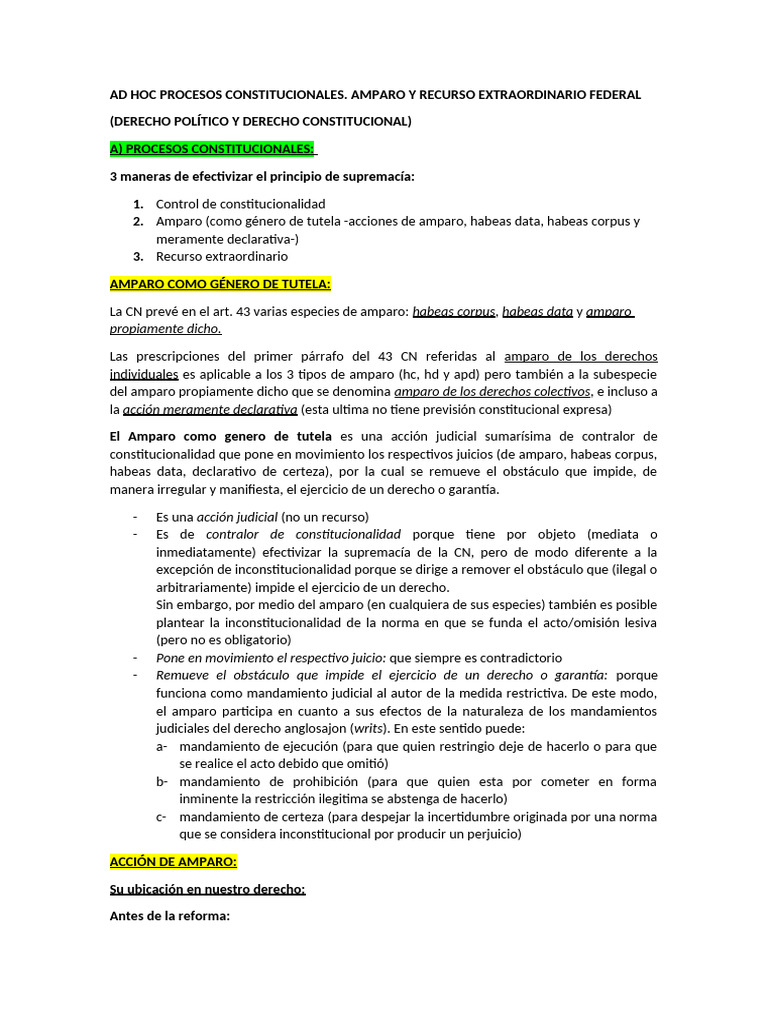 Amparo y Recursos Constitucionales en Derecho | PDF | Habeas corpus ...