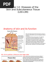 ICD-10 Coding for Pressure Ulcers | PDF | Wound | Diseases And Disorders