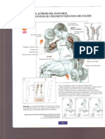 Guide de Musculation