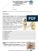 Taller No 011 Sistema Endocrino-Hormonas