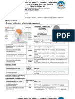 Taller No 012 Sistema Endocrino