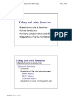Kidney and Urine Formation