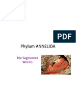 Phylum ANNELIDA: The Segmented Worms