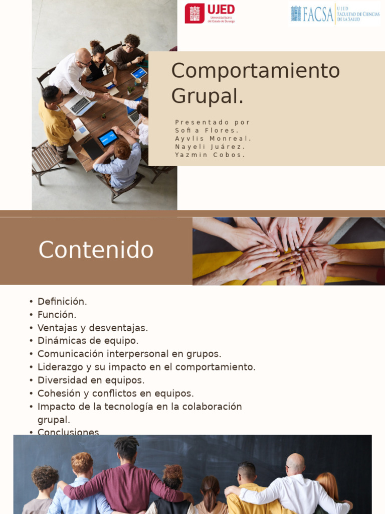 Comportamiento Grupal en Organizaciones | PDF | Liderazgo | Cohesión grupal