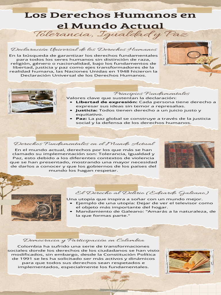 Infografia | PDF | Derechos humanos | Igualdad social
